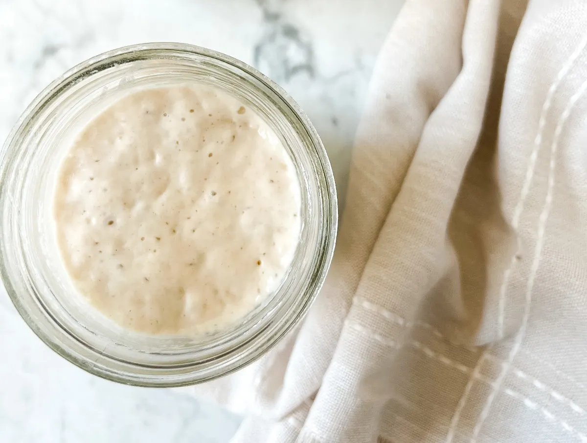 sourdough starter on marble with a tea towel