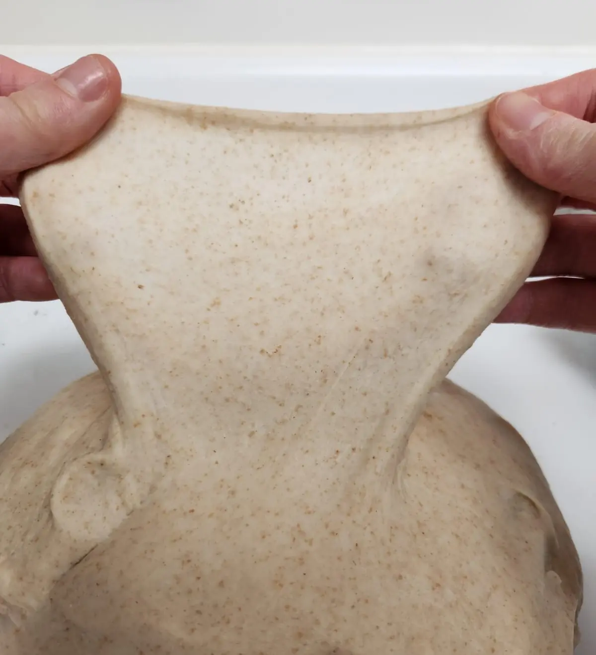 Hands holding a stretched piece of dough to perform the windowpane test.