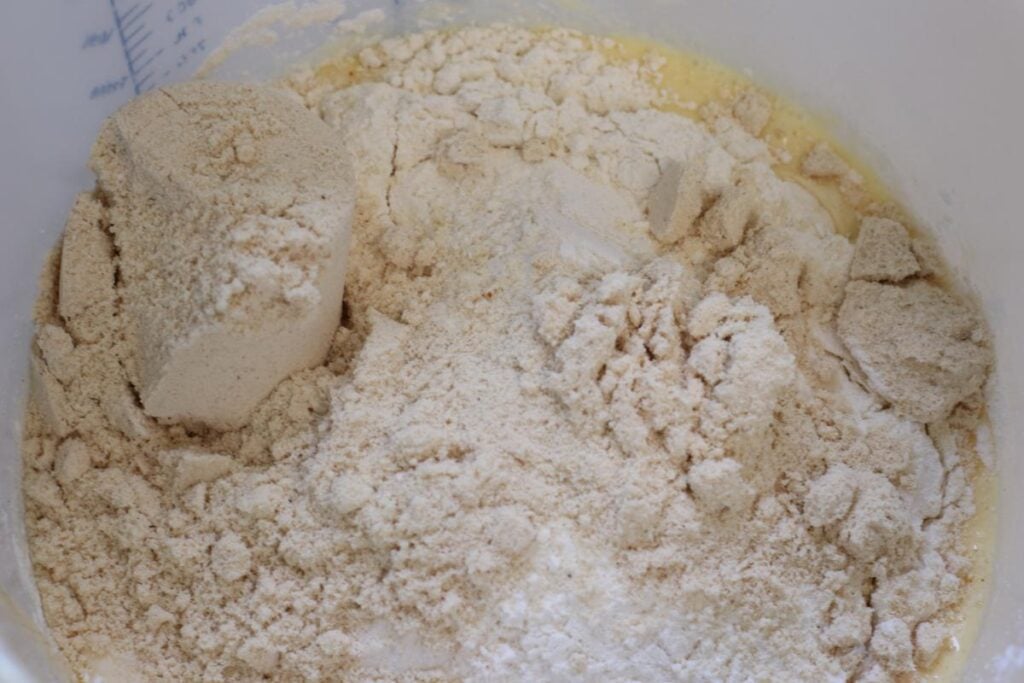 sourdough protein pancake ingredients