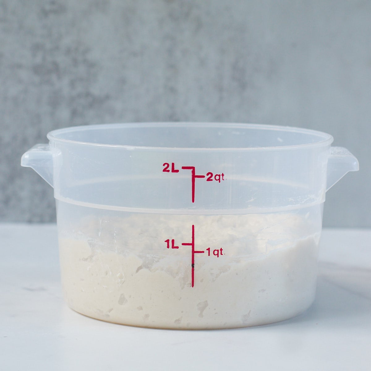 Sourdough bread dough after the initial mix in a 2 quart straight edge container.