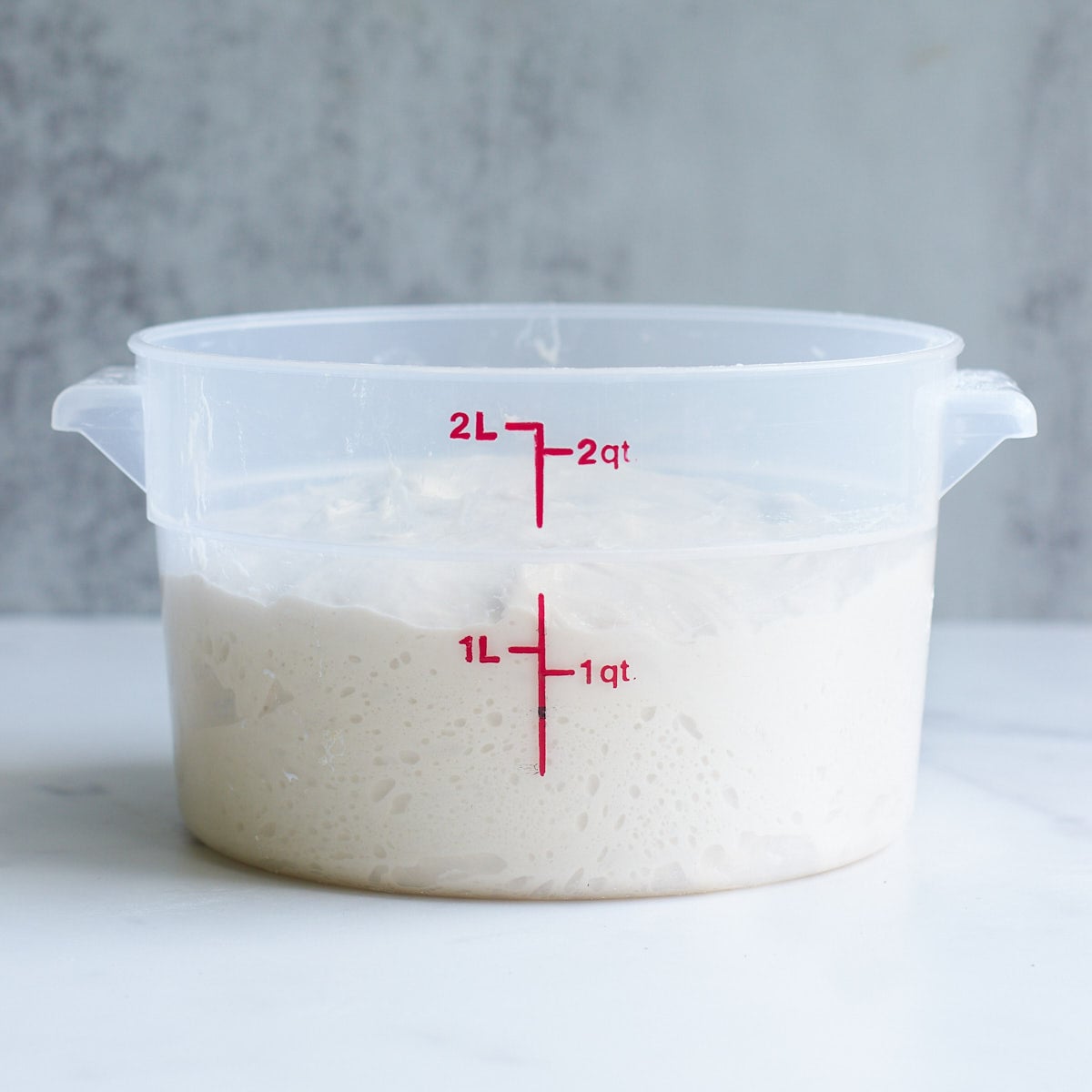 Sourdough bread dough after the first rise in a 2 quart straight edge container.