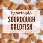 homemade sourdough goldfish crackers