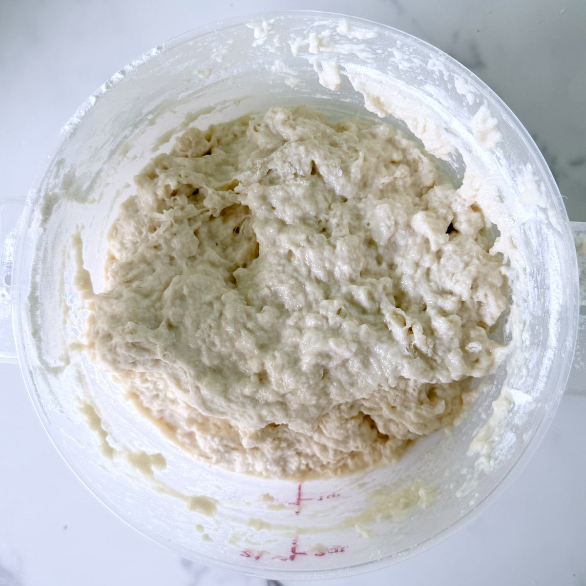 cheeseburger focaccia dough after it's initial mix in a plastic 2 quart container. 