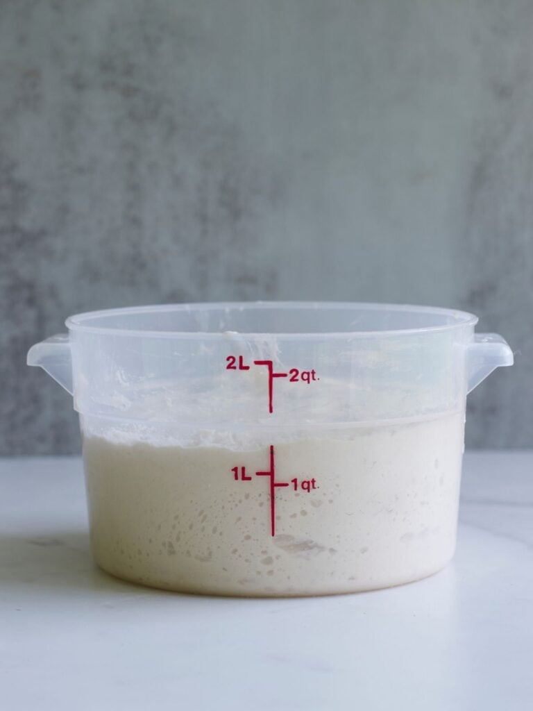 Sourdough focaccia dough rising in a clear 2-quart container.