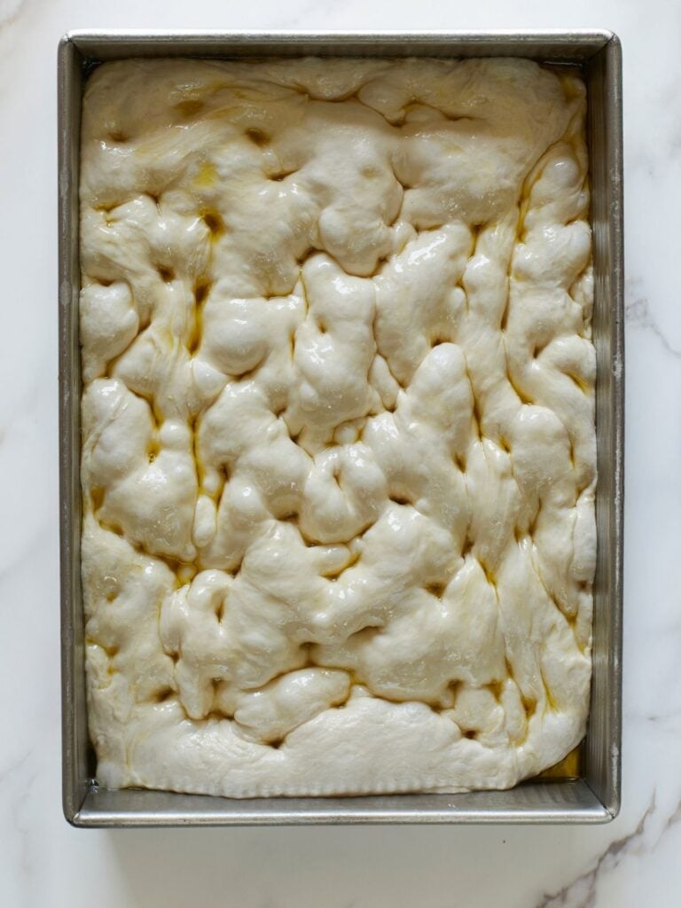 Dough for sourdough focaccia in a 9x13 pan with dimples in the dough and olive oil added on top.