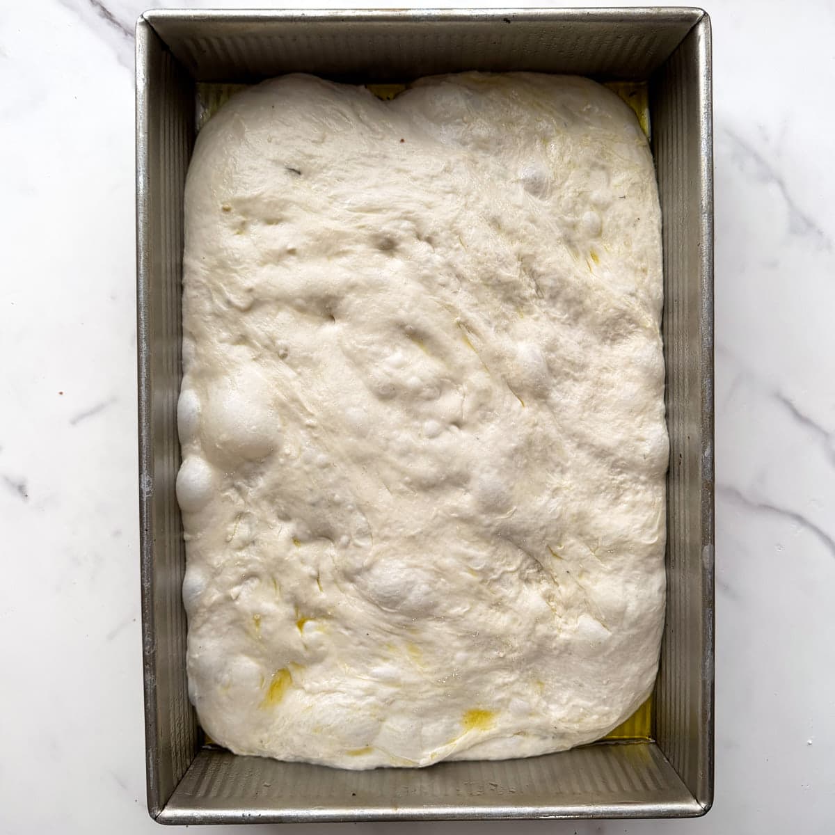 Sourdough cheeseburger focaccia dough in a greased metal 9x13 pan after the second rise. 