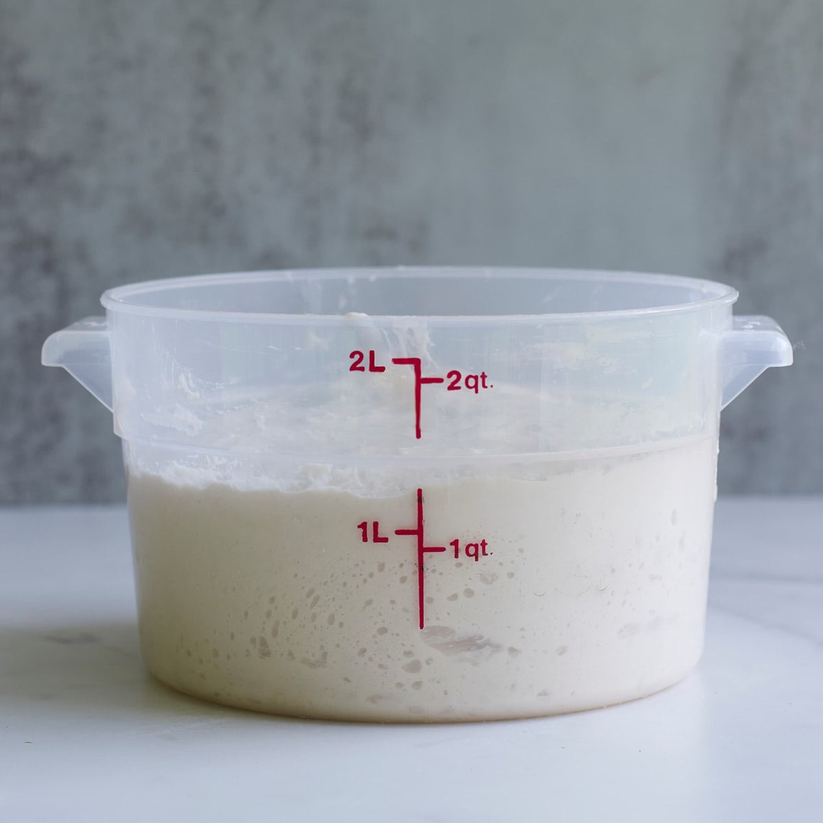 Sourdough cheeseburger focaccia dough at the end of the first rise in a 2 quart plastic container.