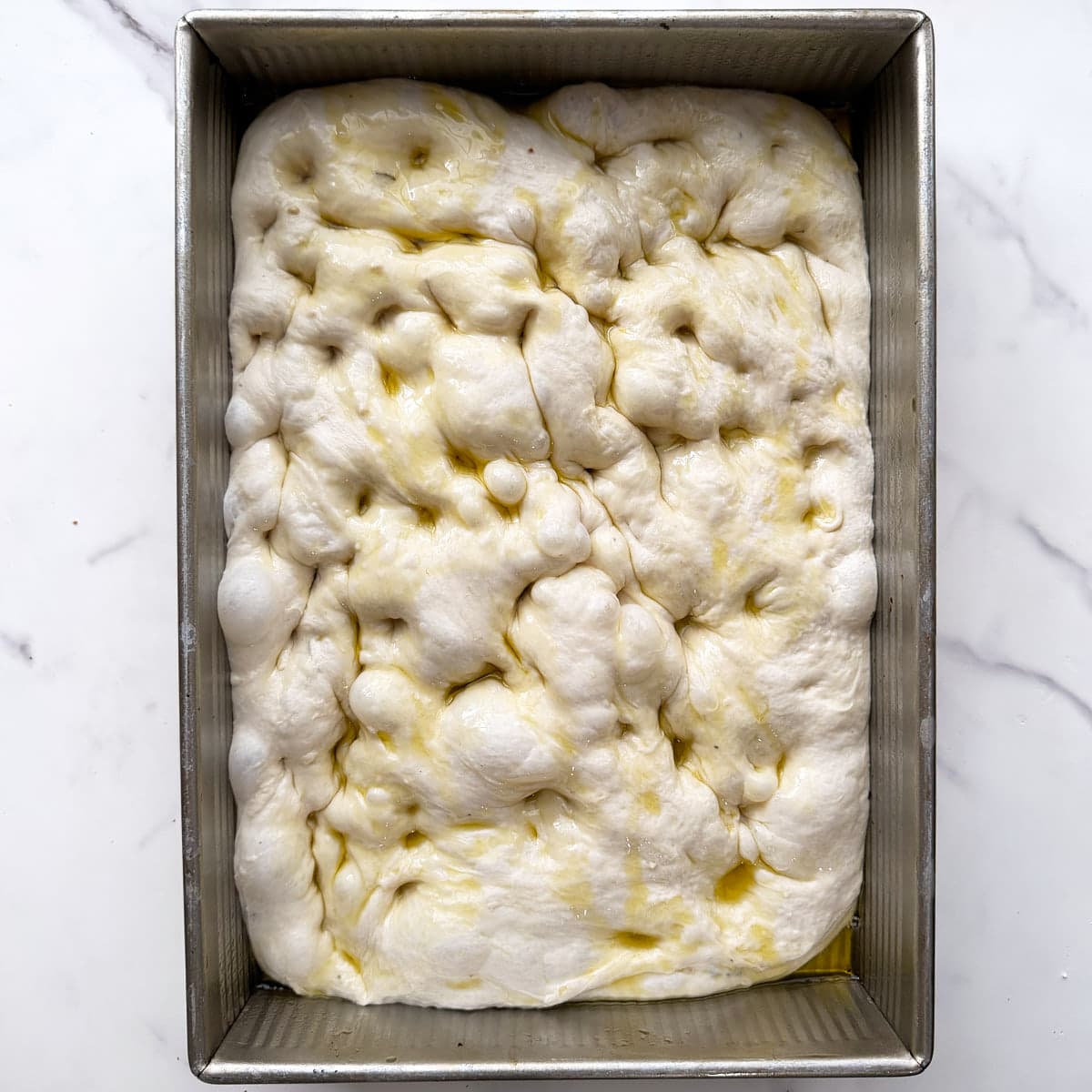 Sourdough focaccia dough dimpled in a metal 9x13 pan. 