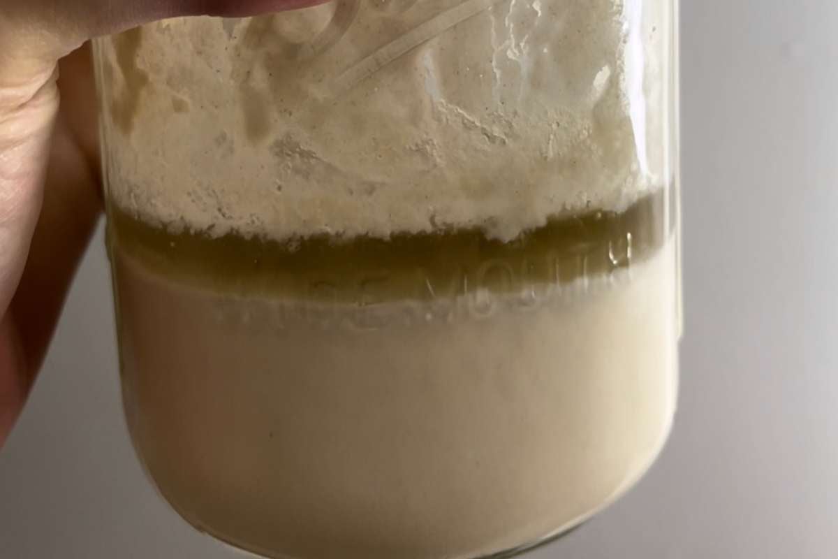 grayish black liquid (hooch) on a sourdough starter