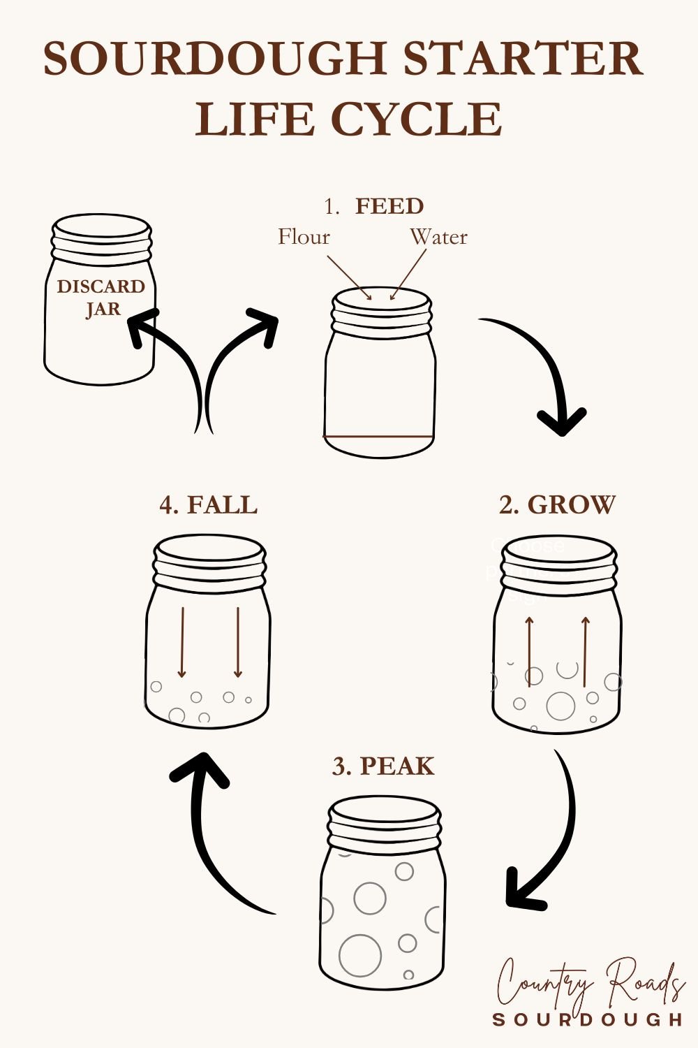 Life cycle of sourdough starter being fed, growing, hitting peak and then falling back down