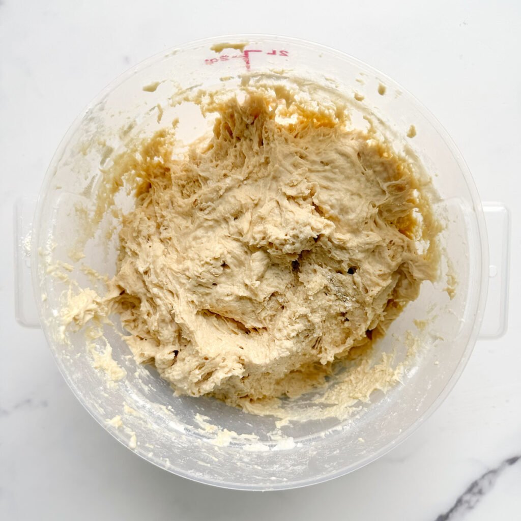 Shaggy dough for Einkorn Sourdough Bread in a clear straight edged container.