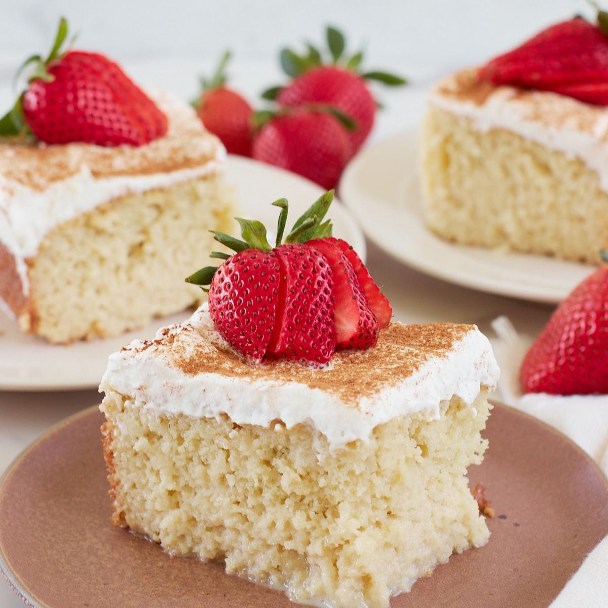 Sourdough Tres Leches Cake