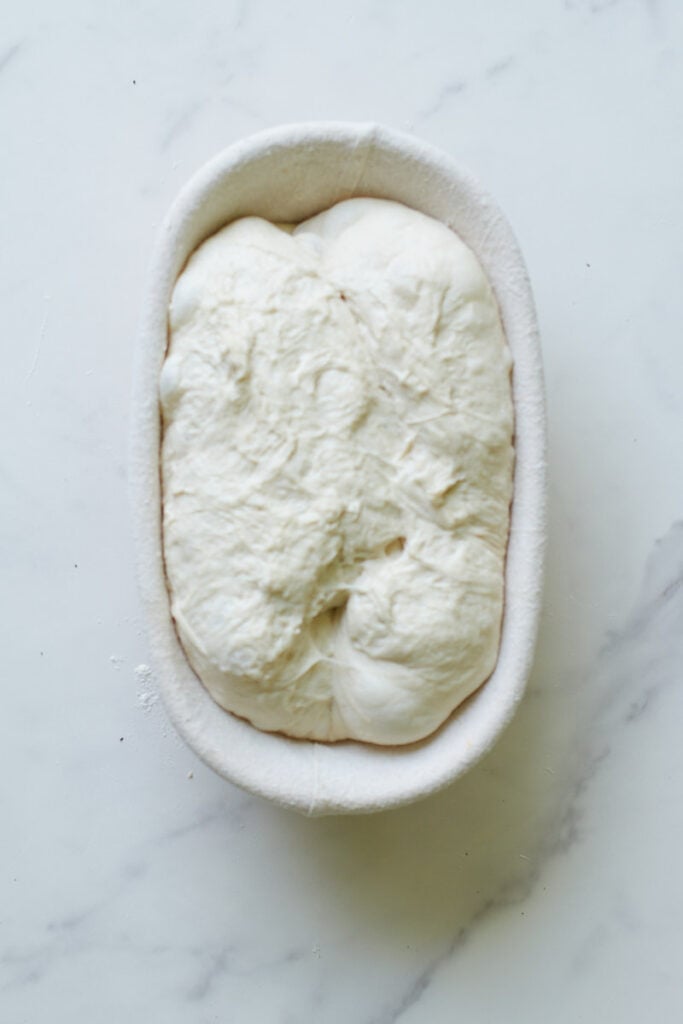 Sourdough bread dough in a proofing basket after second rise.