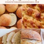 Same Day Sourdough Recipes featuring a photo of sourdough hamburger buns, sourdough focaccia, and sourdough bread.