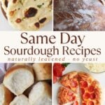 Same Day Sourdough Recipes featuring sourdough naan, sourdough bread, sourdough dinner rolls, sourdough pizza dough.