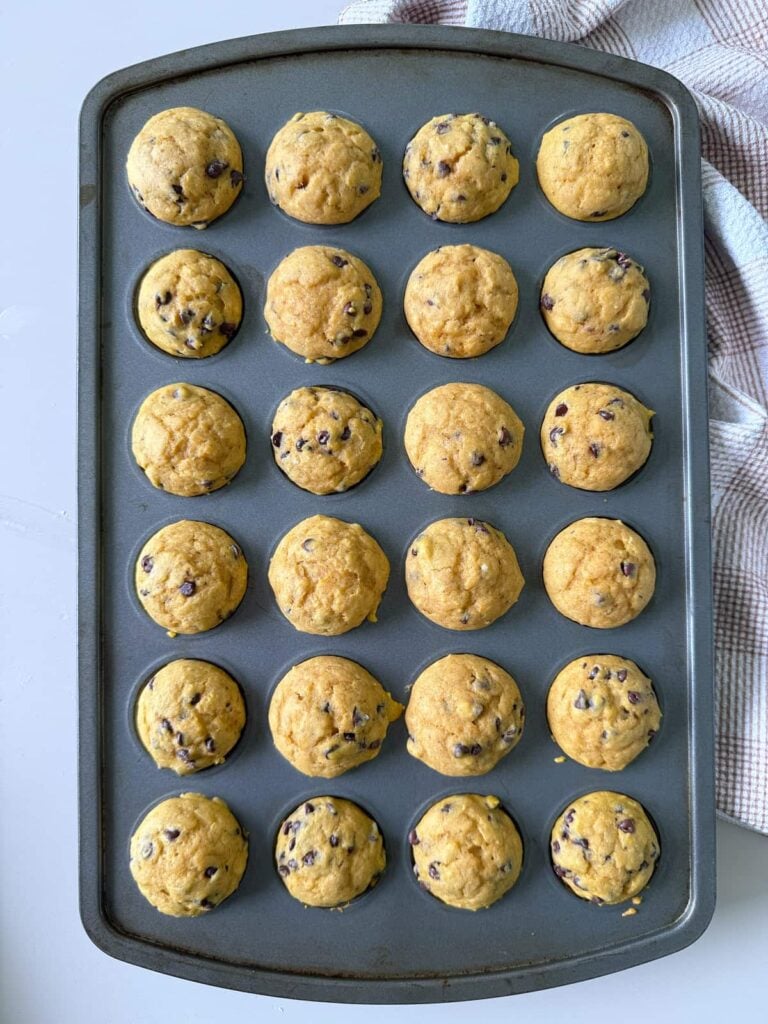 Freshly baked sourdough pumpkin mini muffins in a mini muffin pan.
