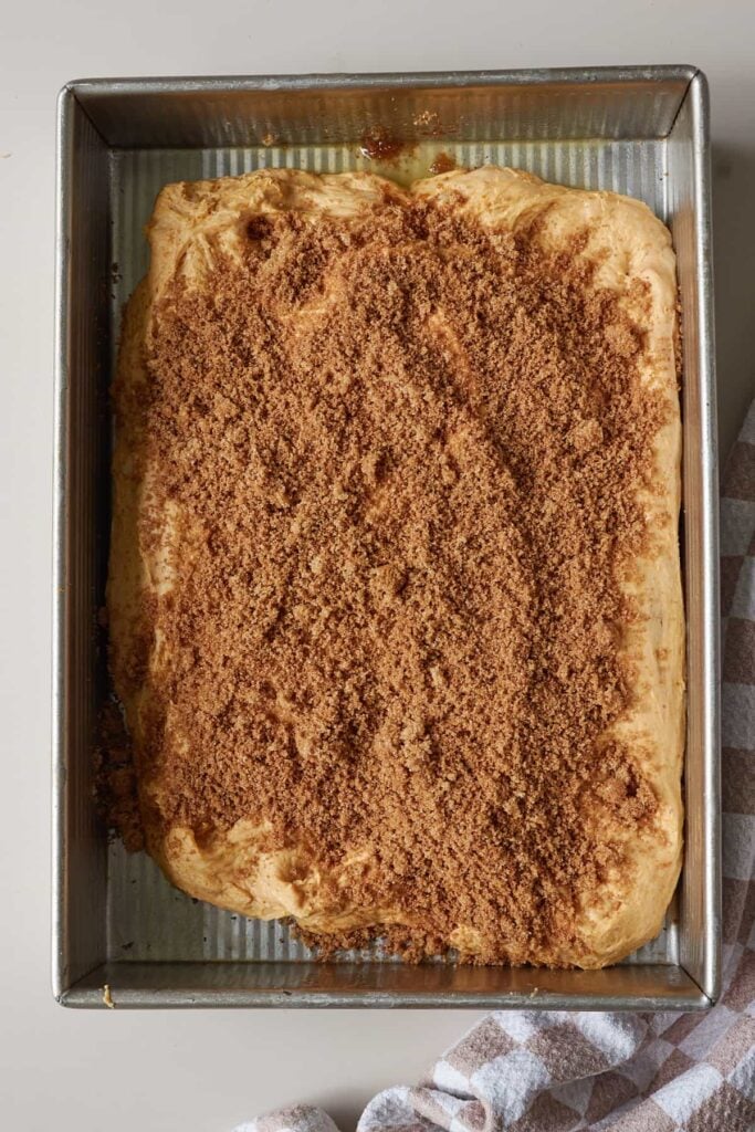 Cinnamon sugar mixture sprinkled on top of Sourdough Pumpkin Focaccia dough in a 9x13 pan.