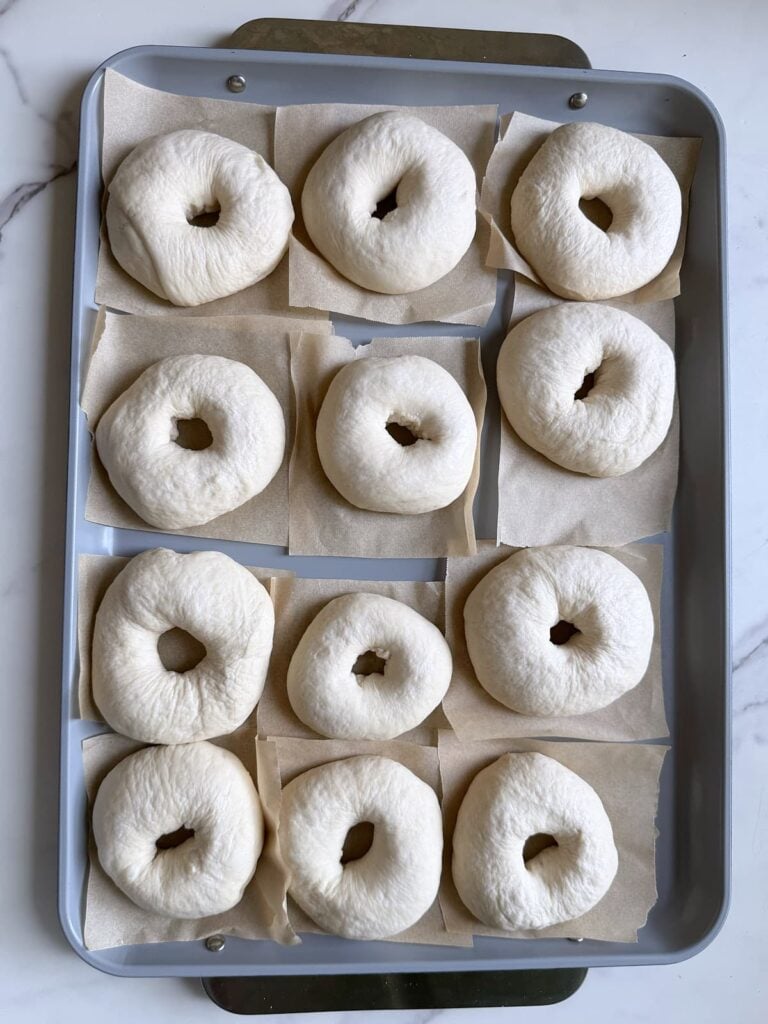 12 Sourdough Bagels on parchment paper on a sheet pan.
