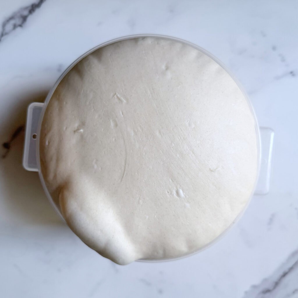 Dough for Sourdough Bagels after bulk fermentation.