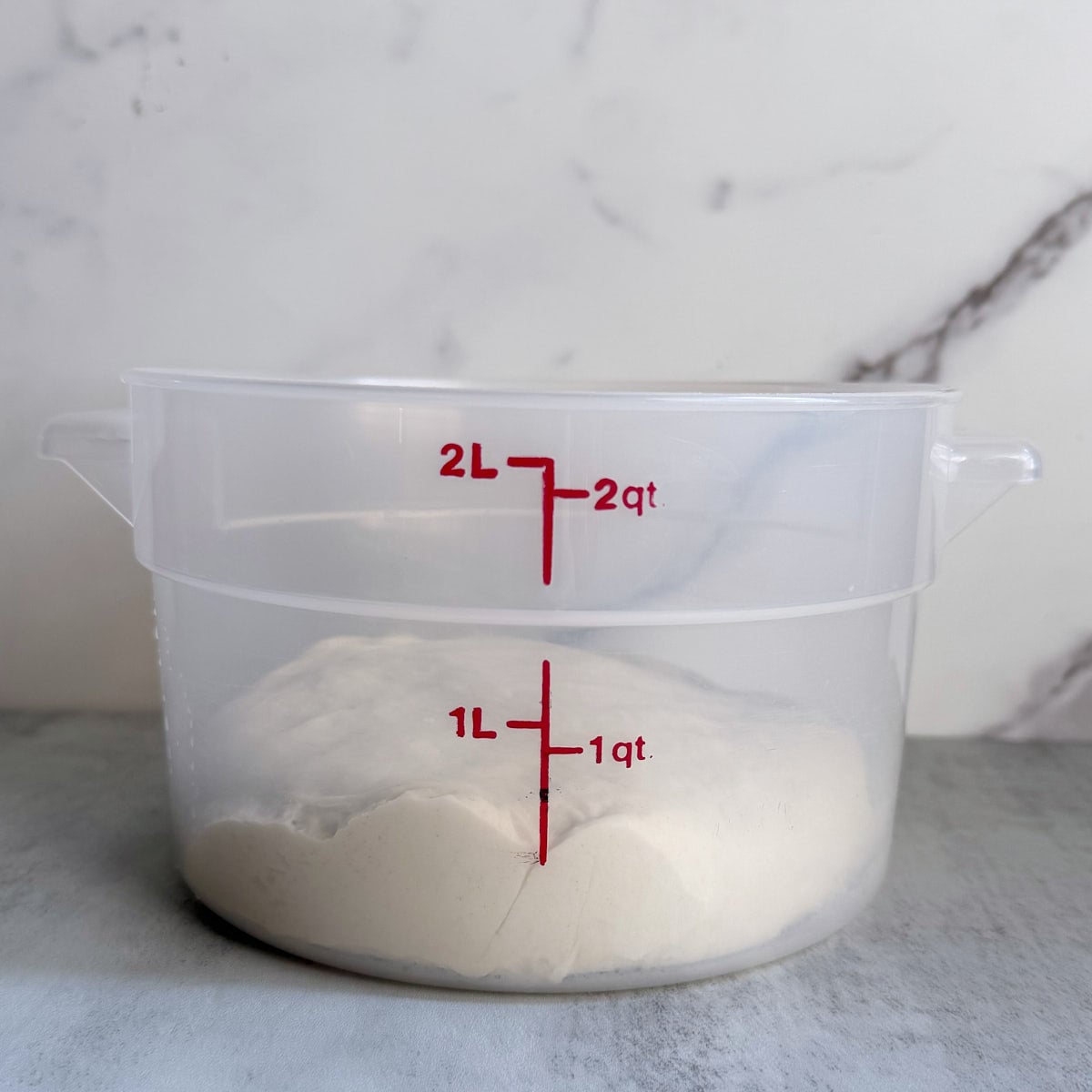 Sourdough breadstick dough in a straight-edged container before bulk fermentation.