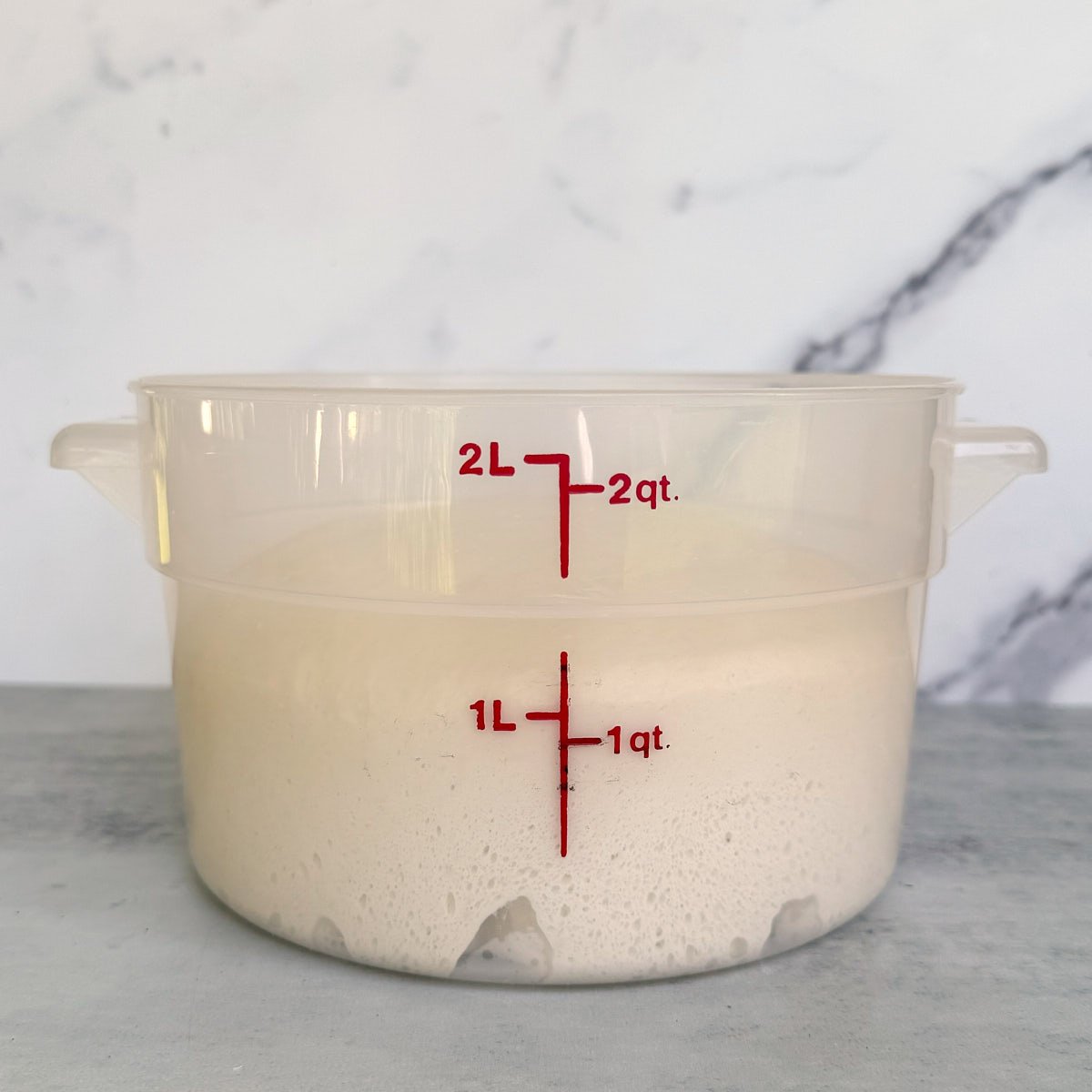Sourdough breadstick dough in a straight-edged container after bulk fermentation.