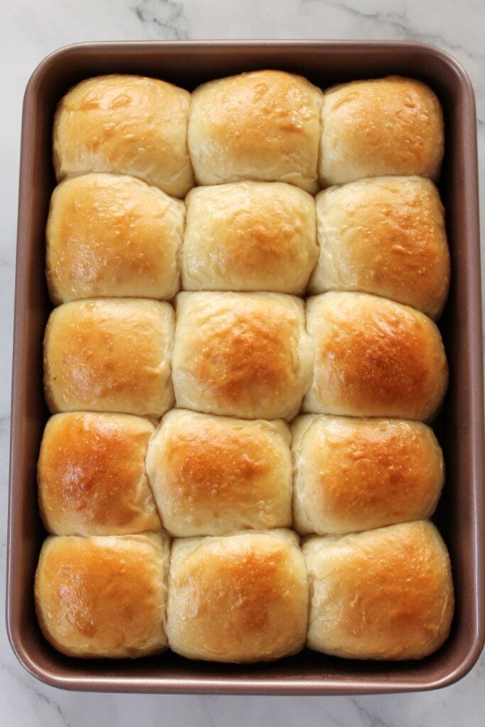 Freshly baked sourdough dinner rolls in a 9x13 pan.