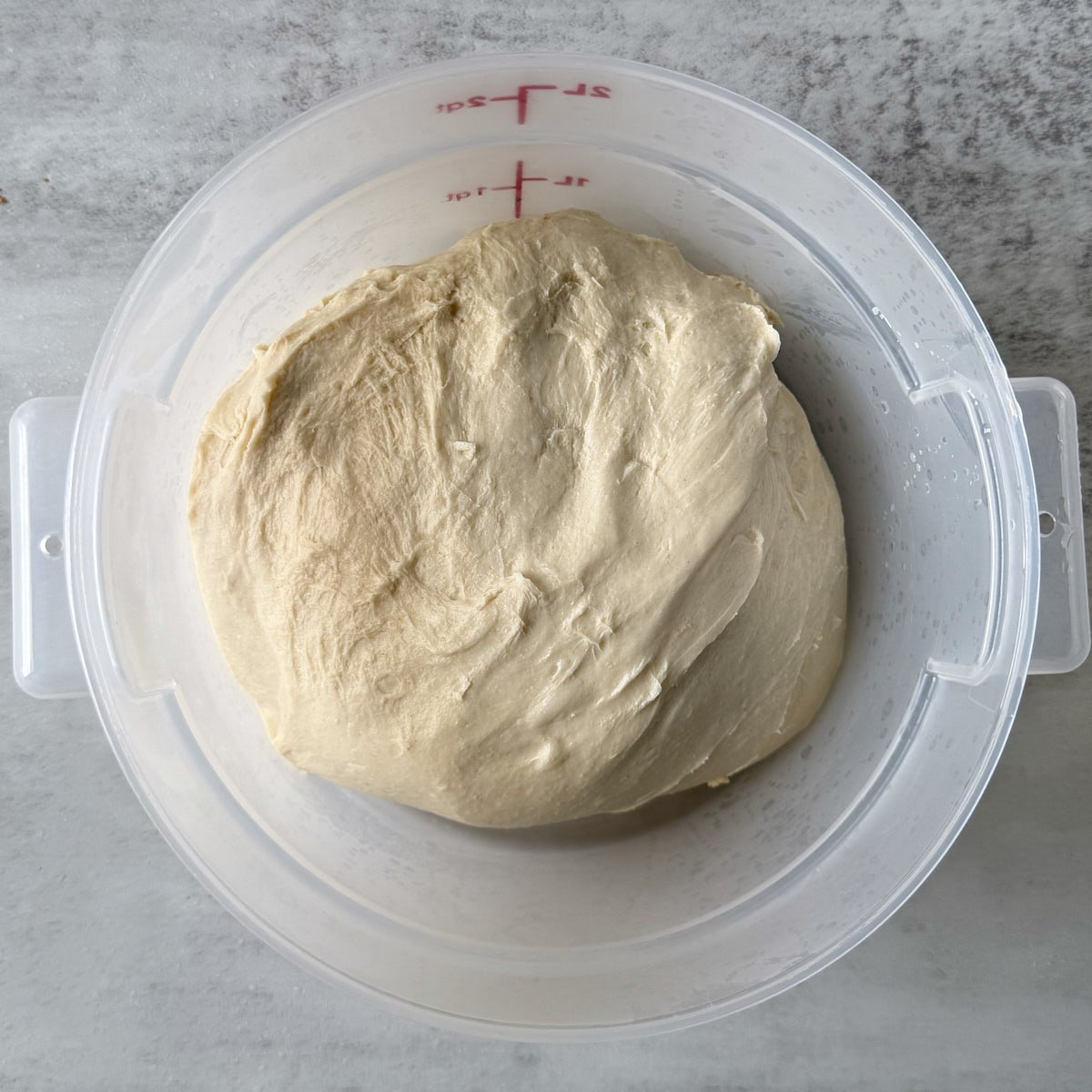 Sourdough Sandwich Bread dough in a straight edge container before the the first rise.