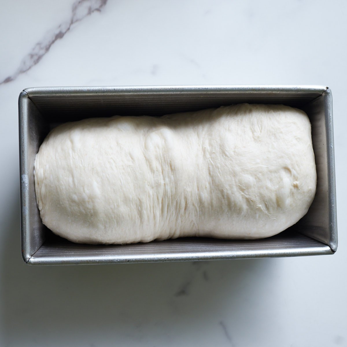 Dough for sourdough sandwich bread in a loaf pan before the second rise.