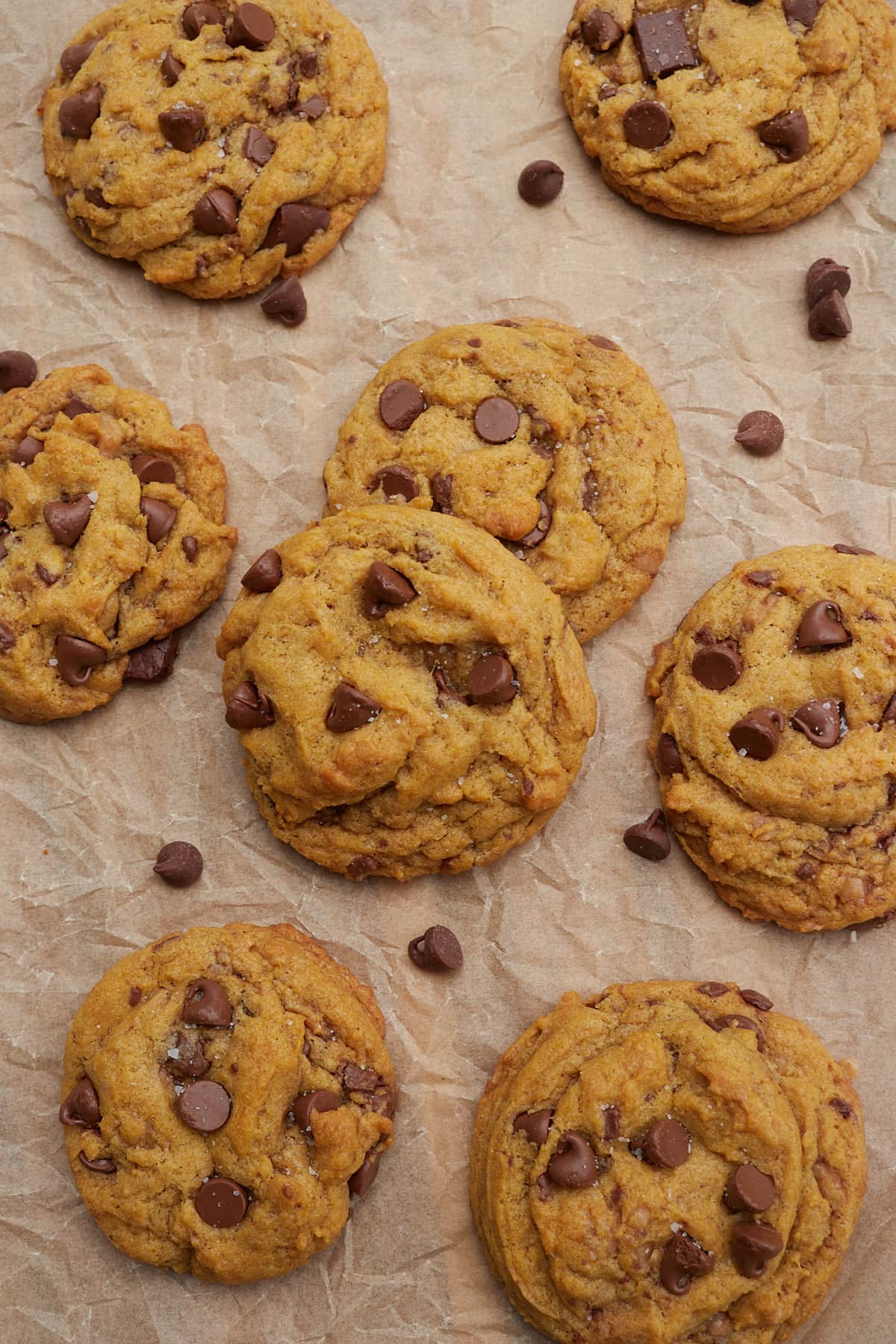 Sourdough pumpkin chocolate chip and heath bit cookies on a piece of parchment paper with chocolate chips sprinkled around.