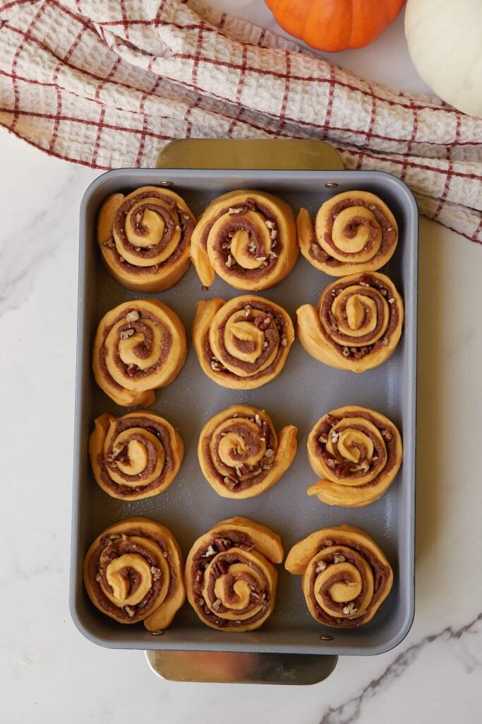 Sourdough pumpkin cinnamon rolls in a 9x13 pan before second rise.