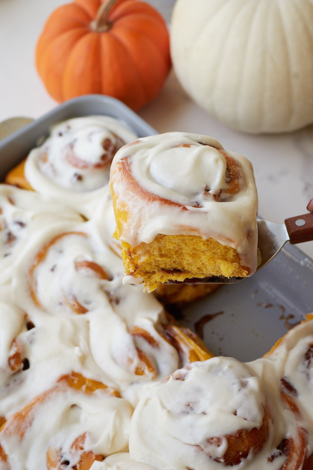 Spatula holding up a sourdough pumpkin cinnamon roll over a 9x13 pan next to an orange and white pumpkin.