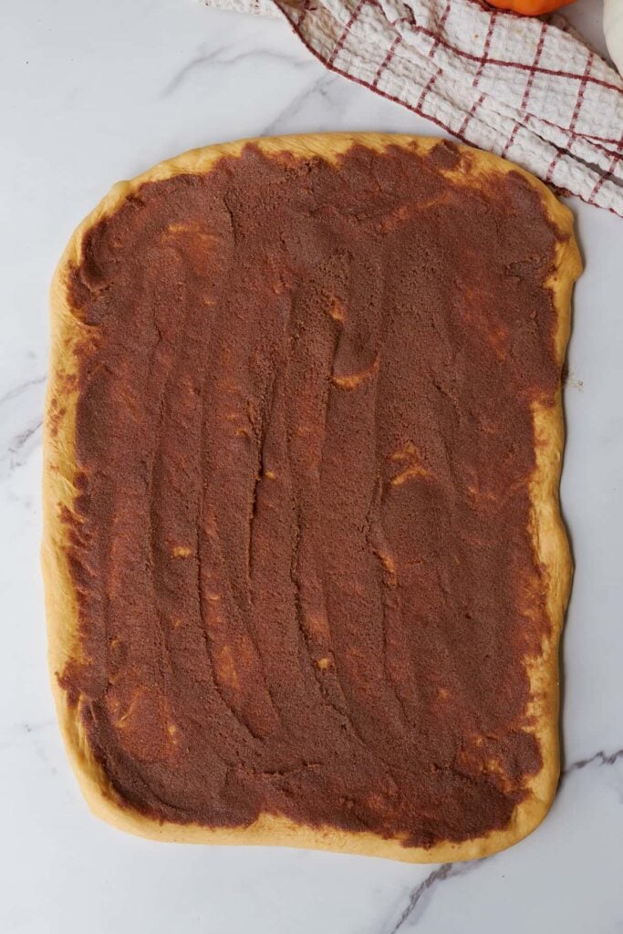 Cinnamon sugar mixture spread out on the sourdough cinnamon roll dough.