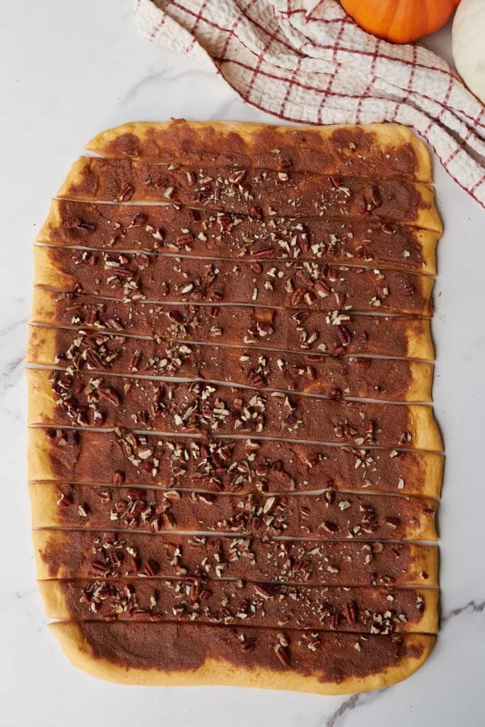 Sourdough Pumpkin Cinnamon Roll dough rolled out into a rectangle and cut into 12 strips.