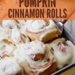 9x13 pan filled with sourdough pumpkin cinnamon rolls with cream cheese frosting.