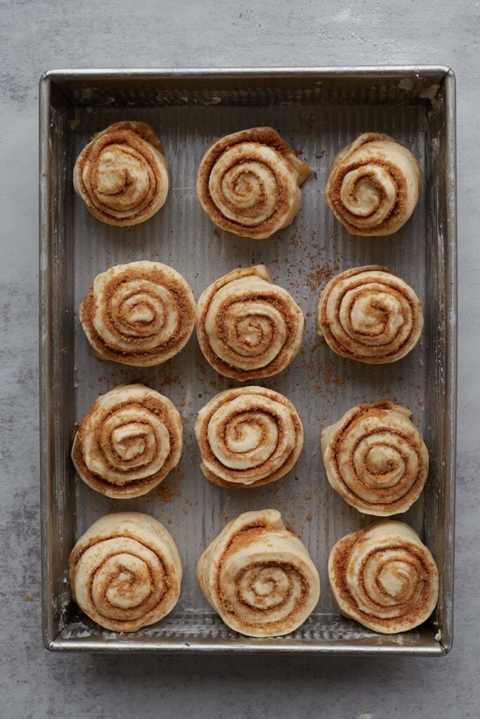 12 sourdough discard cinnamon rolls in a 9x13 pan before rising.