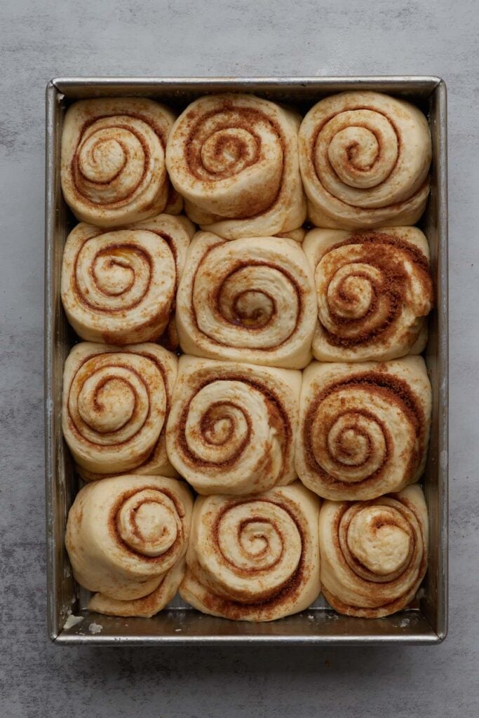 Sourdough discard cinnamon rolls unbaked in a 9x13 pan after rising and doubling in size.