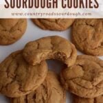 Sourdough Peanut Butter Cookies piled on top of each other with a bite taken out of the top cookie.