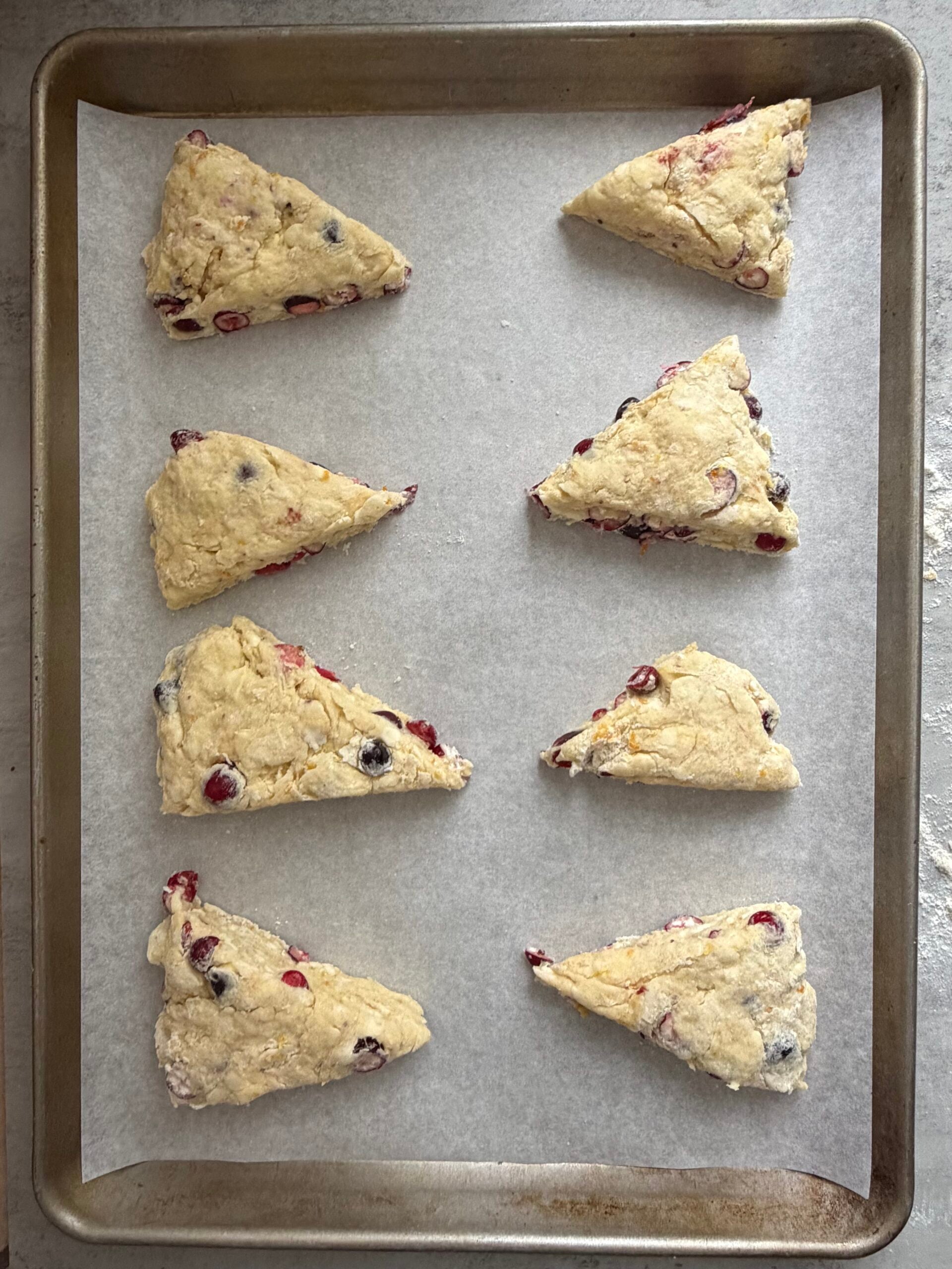 8 cranberry orange sourdough scones on a piece of parchment paper under a baking sheet.