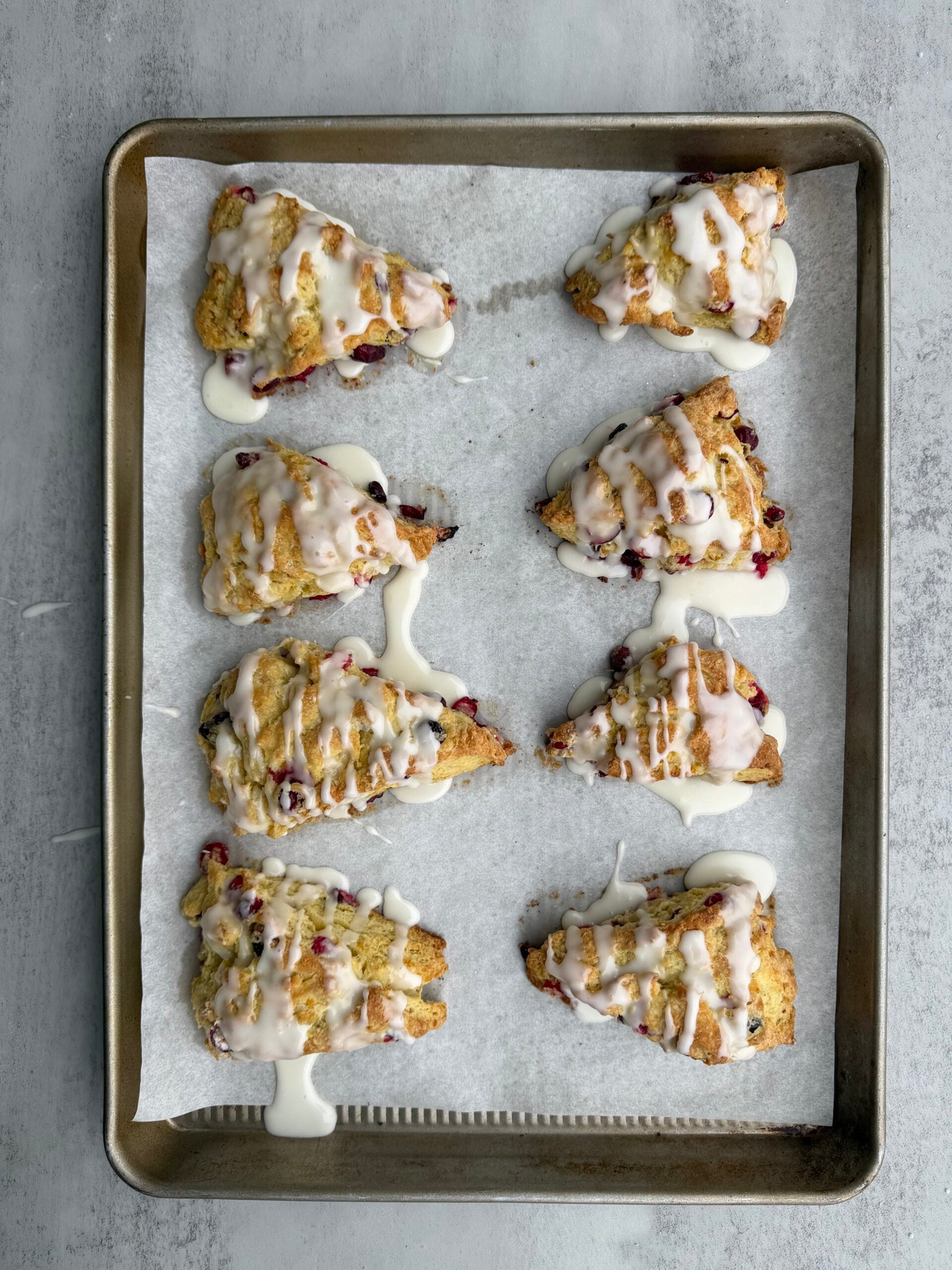 8 baked cranberry orange sourdough scones drizzled in a orange gloze on a piece of parchment paper under a baking sheet.