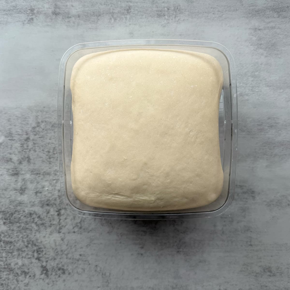 sourdough french bread dough after first rise