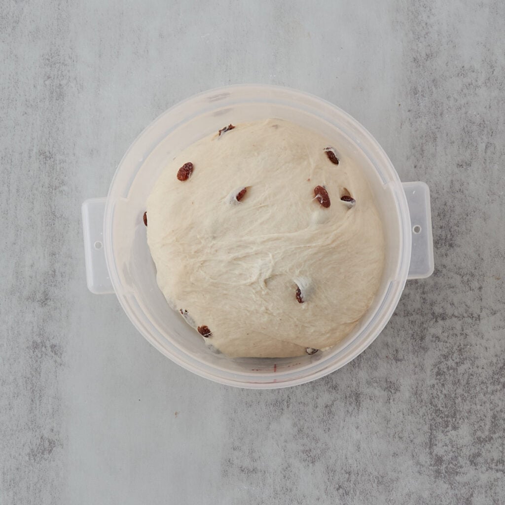 Dough for Sourdough Raisin Bread in a straight-edged container before the first rise.