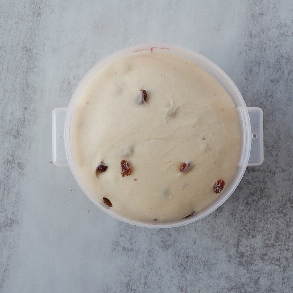 Dough for Sourdough Raisin Bread in a straight-edged container doubled in size after the first rise.