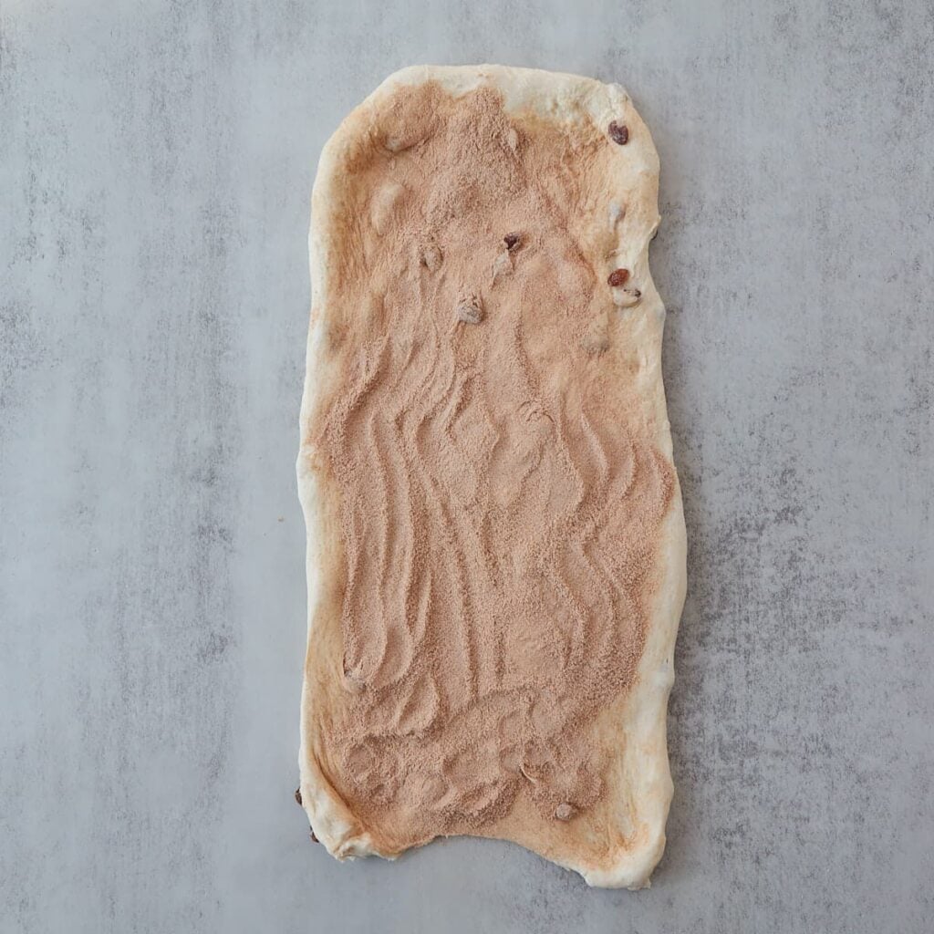 Sourdough Cinnamon Raisin Bread dough shaped into a rectangle with the cinnamon sugar filling spread on top.