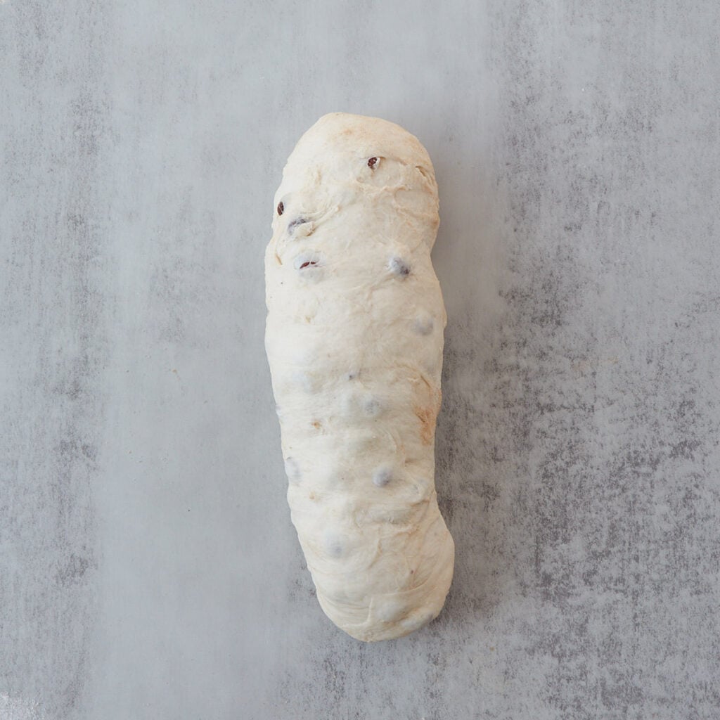 Dough for Sourdough Cinnamon Raisin Bread shaped in a log.