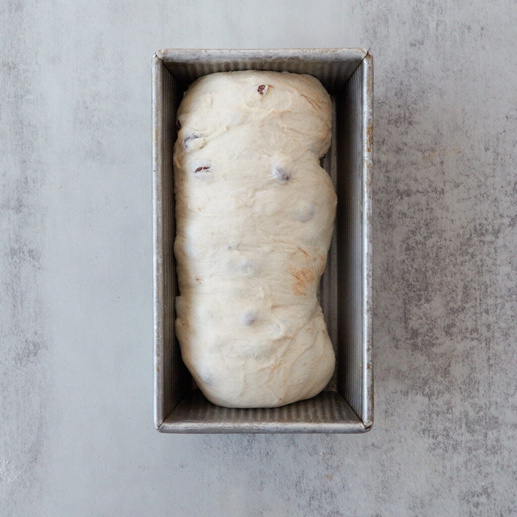 Dough for Sourdough Cinnamon Raisin Bread in a loaf pan before second rise.