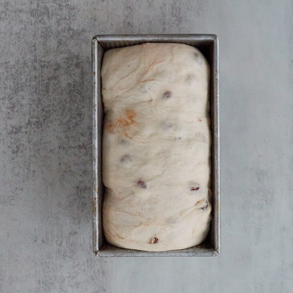 Sourdough Cinnamon Raisin Bread in a loaf pan after the second rise.