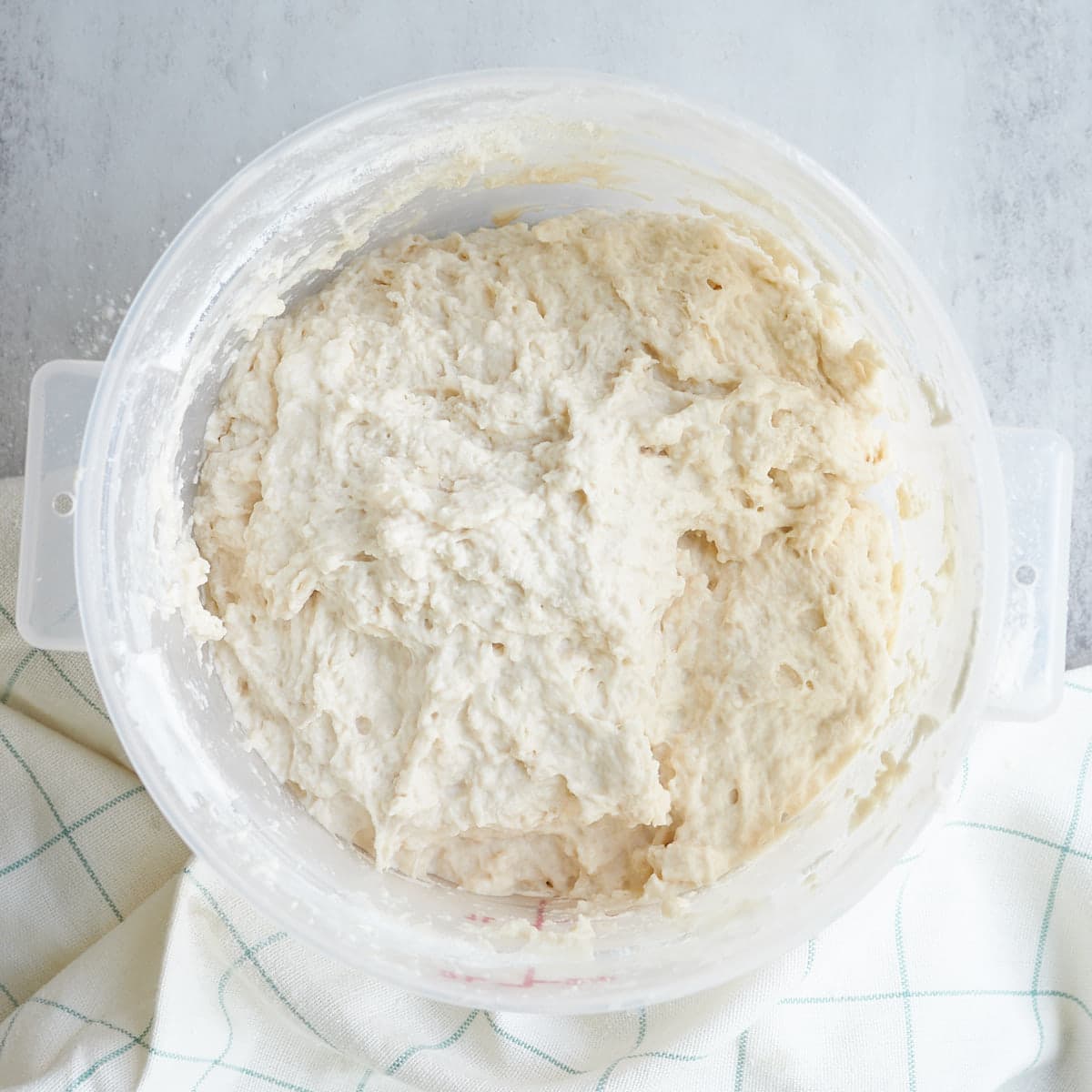 Sourdough pretzel bread dough after mixing all the ingredients in a straight edge container until it is shaggy.