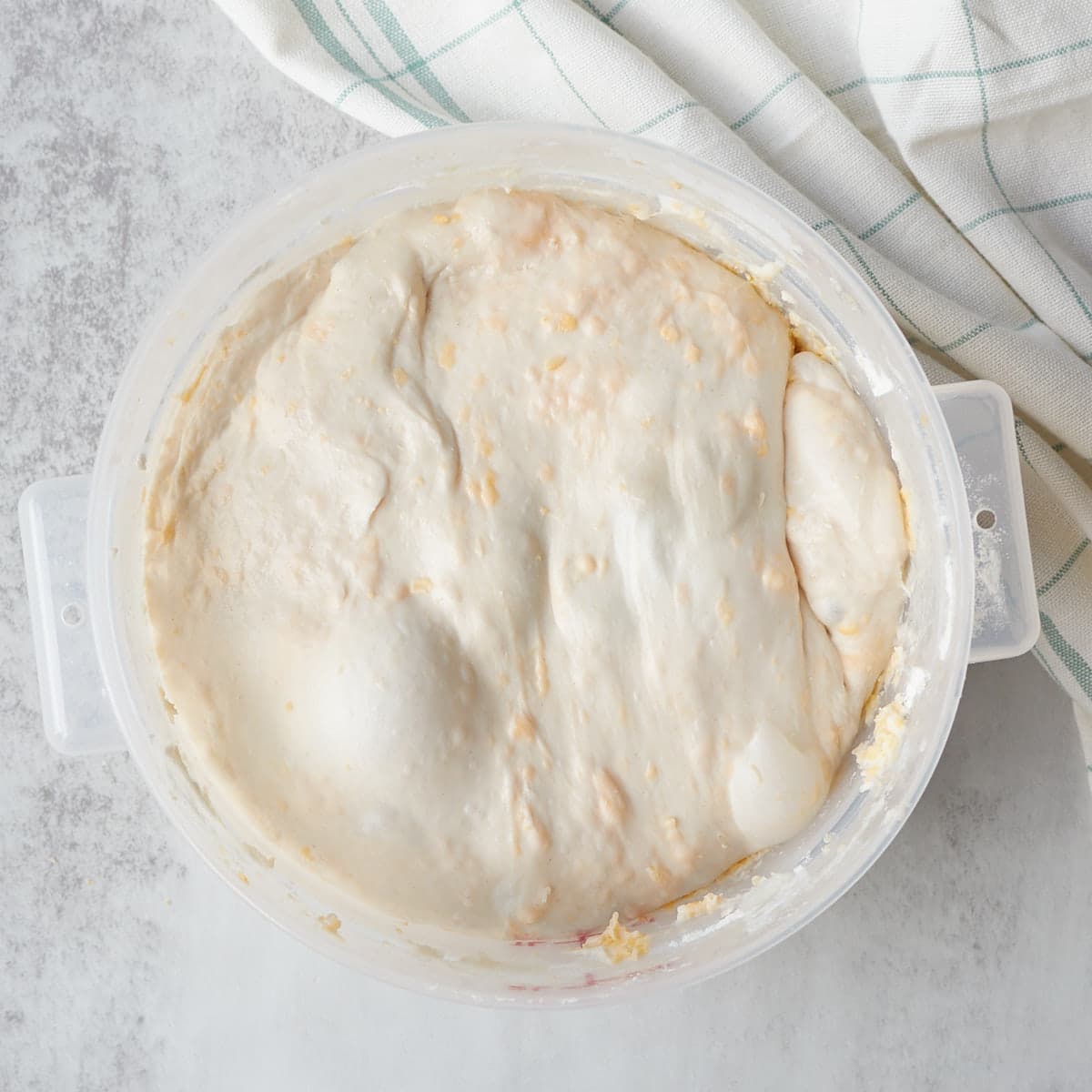 Sourdough pretzel bread dough ready to shape after the third and final stretch and fold.
