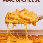 A wooden spoon taking a spoonful of sourdough mac and cheese out of a 9x13 pan filled with mac and cheese.