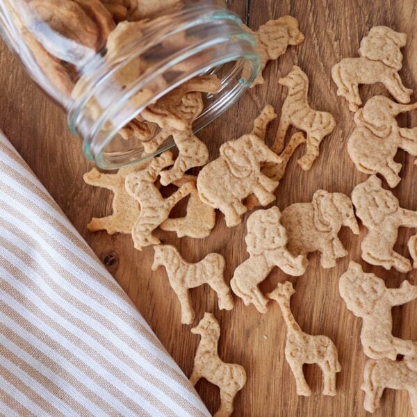 A mason jar tipped over with Sourdough Animal Crackers spilling out onto a wooden background.